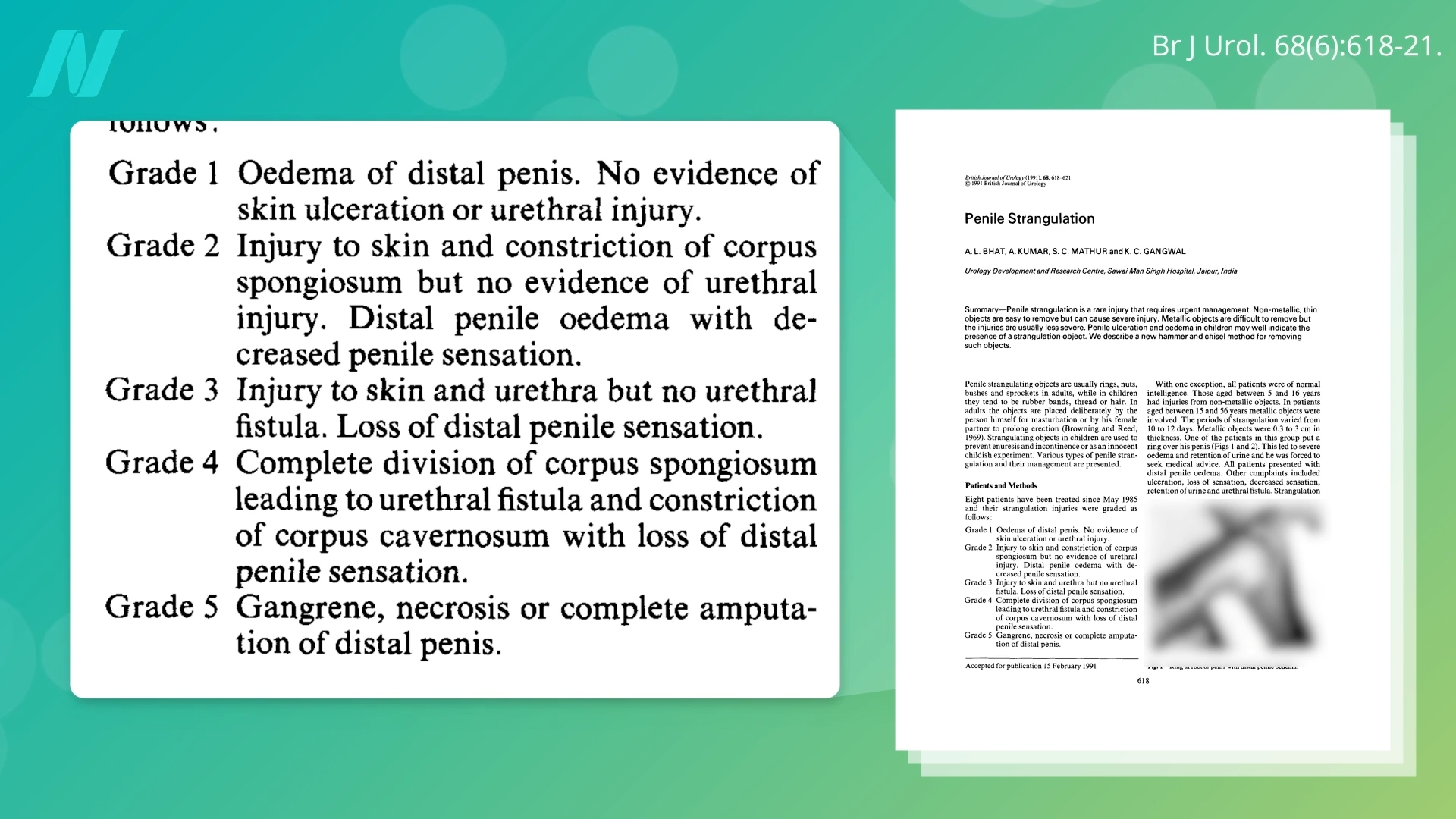 Nuts, Sperm, and Sex: The Surprising Connection