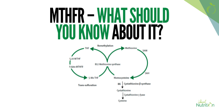 MTHFR â What Should You Know About It?