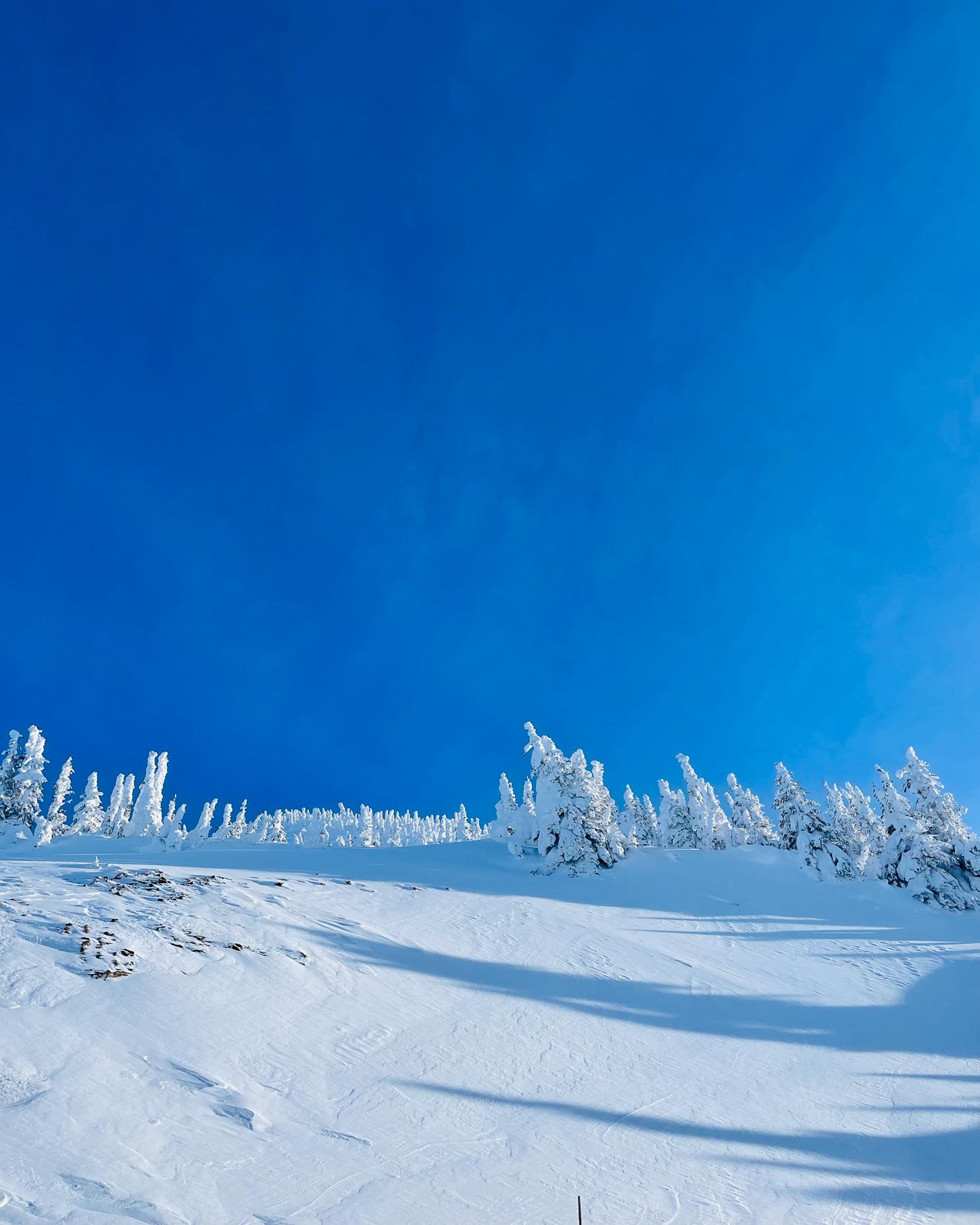Separate Reality Bowl Revelstoke | www.iamafoodblog.com