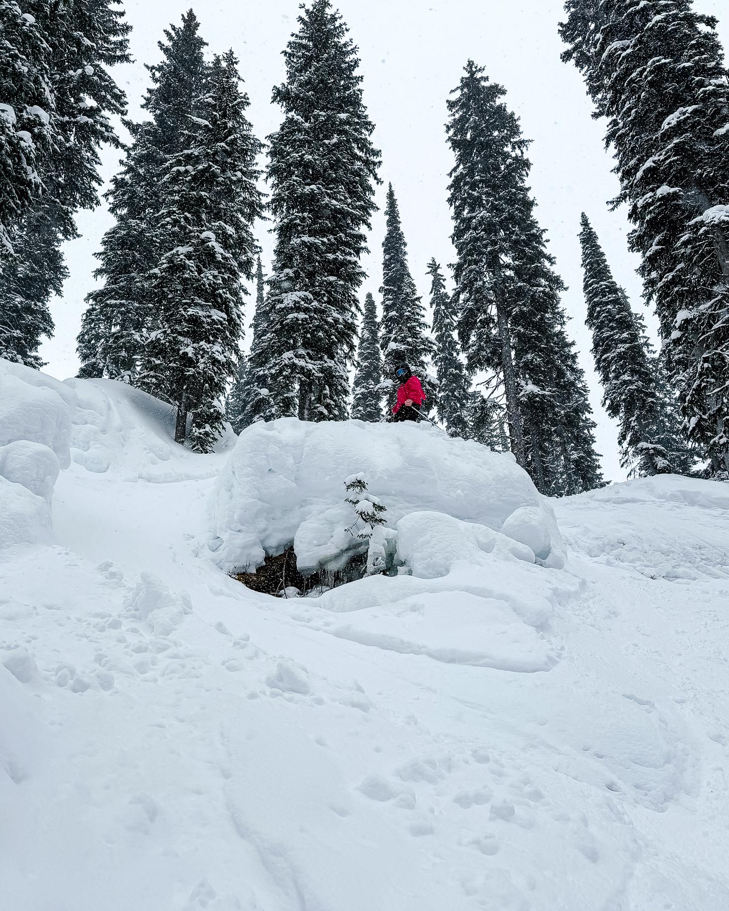 tree skiing at Revelstoke | www.iamafoodblog.com