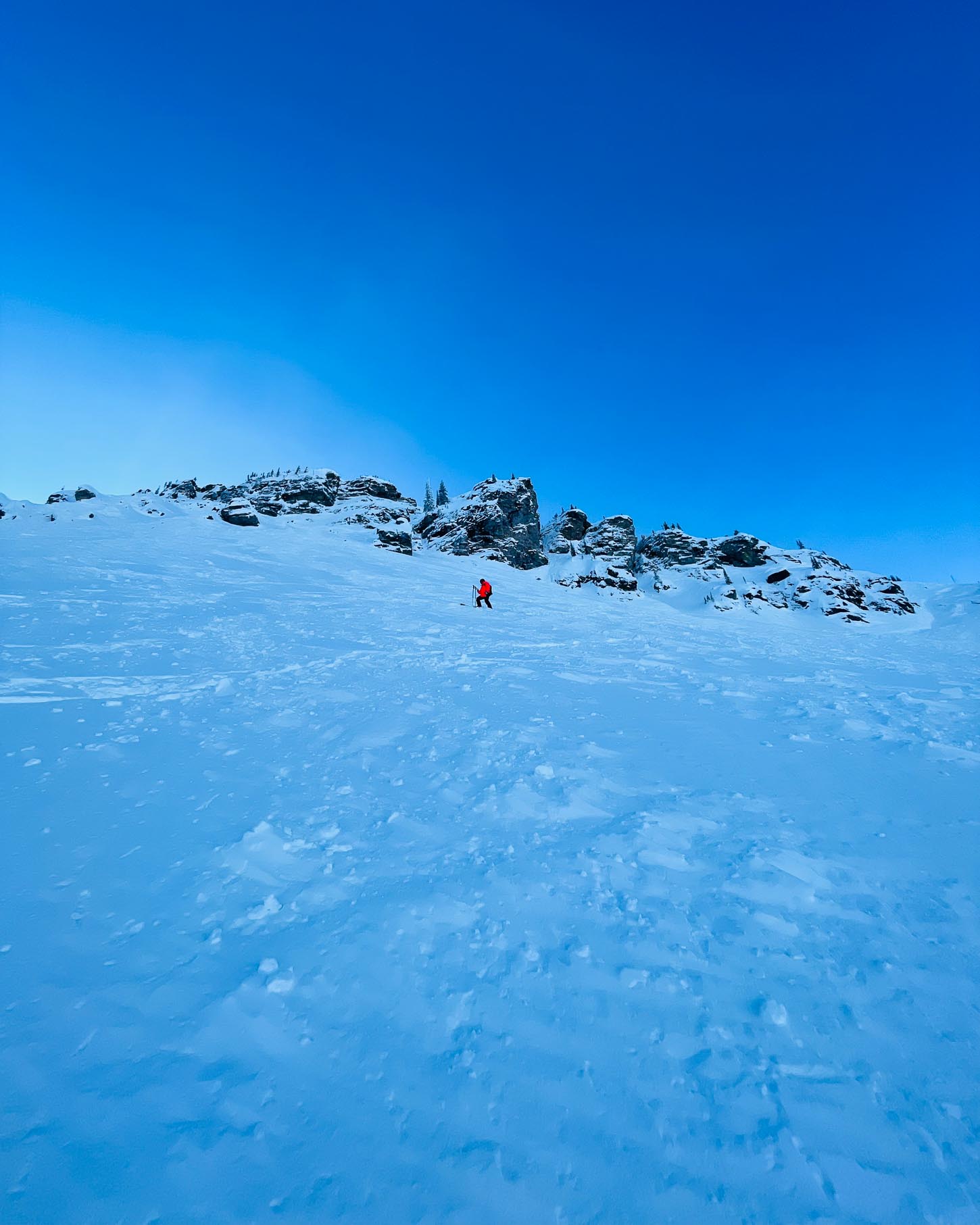 North Bowl Revelstoke | www.iamafoodblog.com