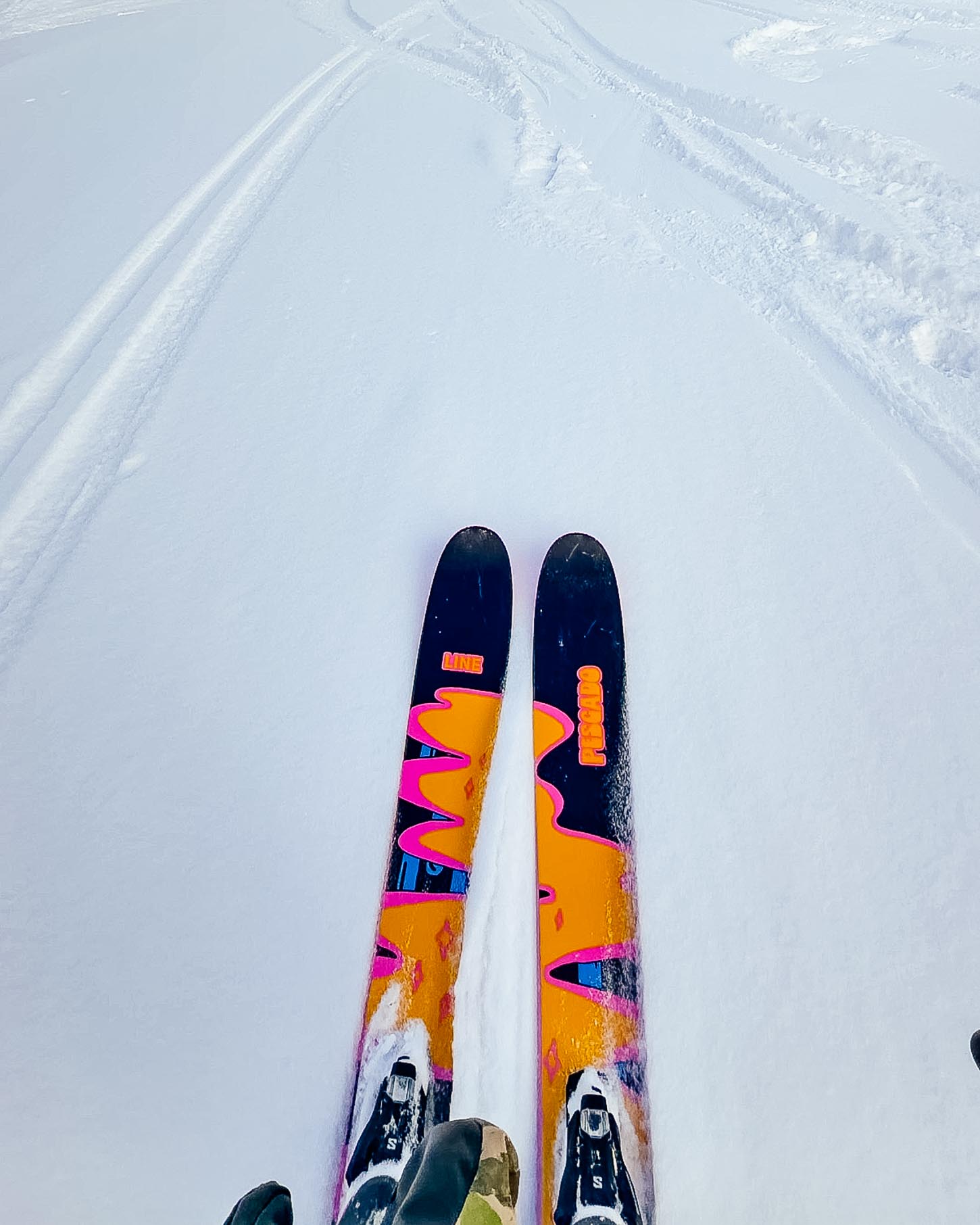 Powder skiing in Revelstoke | www.iamafoodblog.com