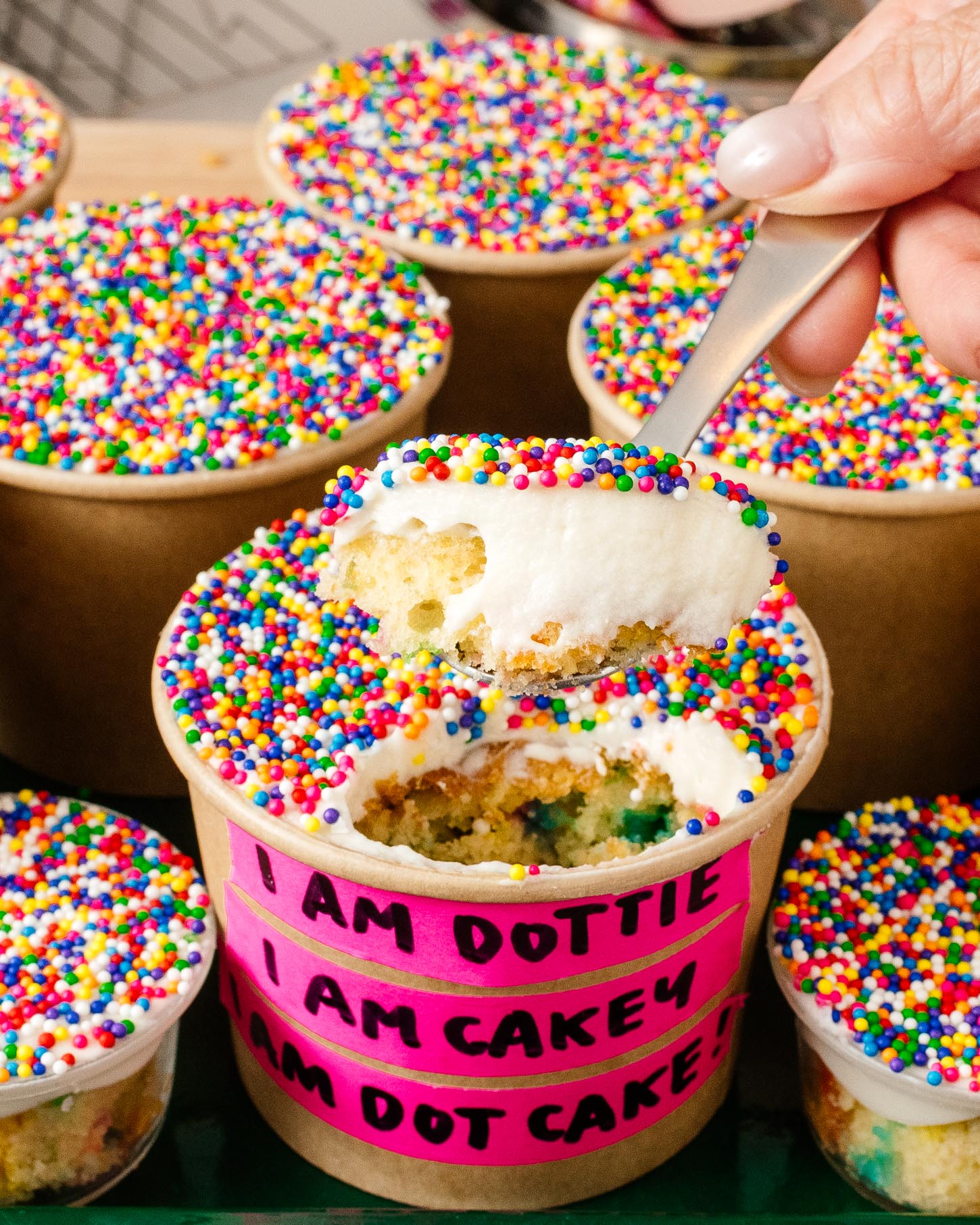 Dot Cakes | www.iamafoodblog.com