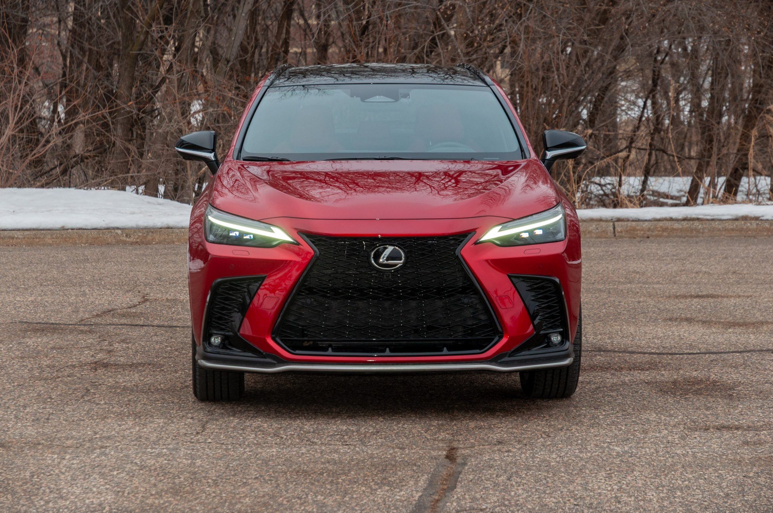 2026 Lexus NX Hybrid Assessment: Grasping Its Appeal to Consumers