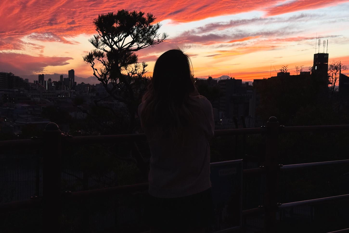 Tokyo Sunset | www.iamafoodblog.com