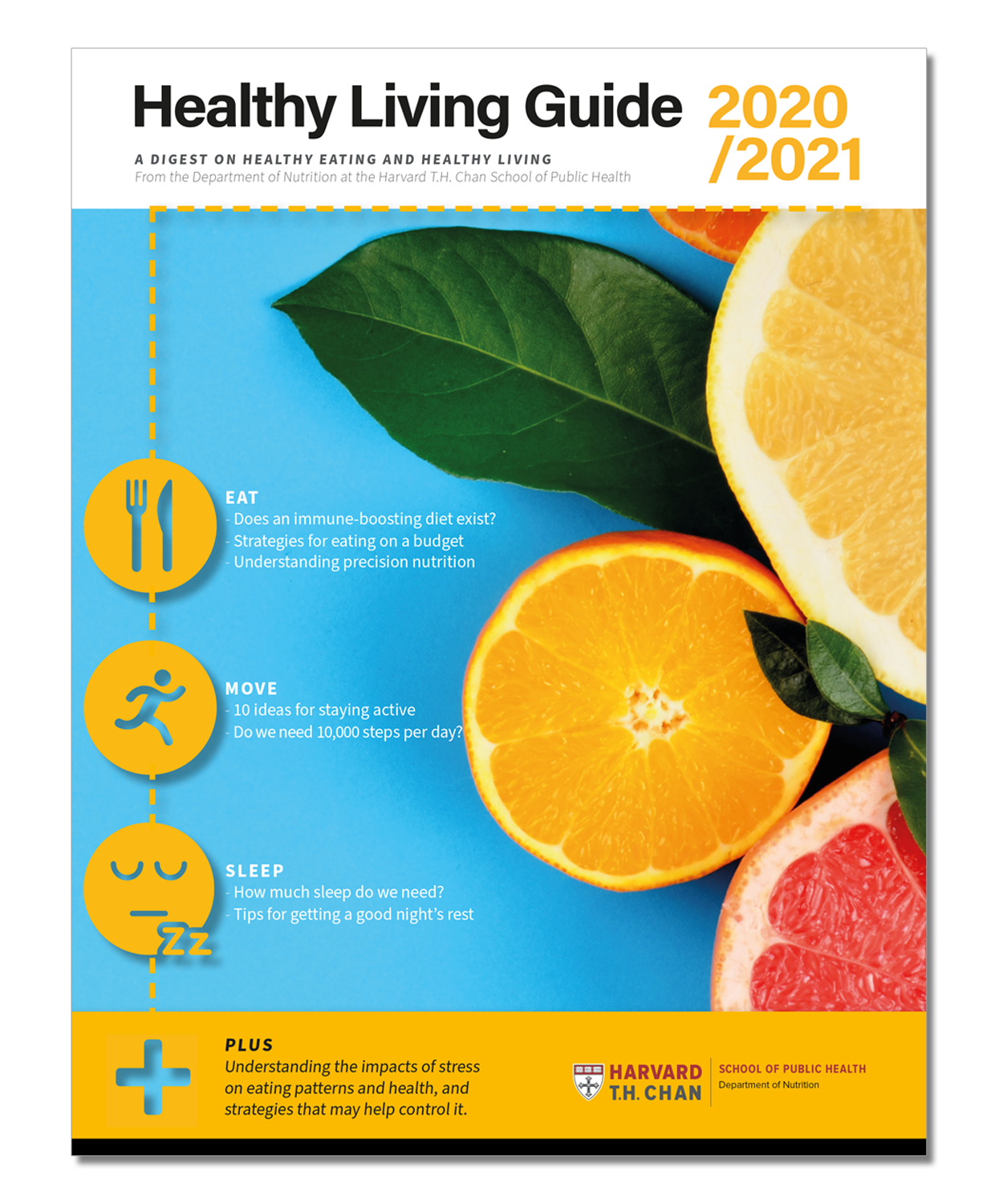 Cover image of the Healthy Living Guide downloadable PDF