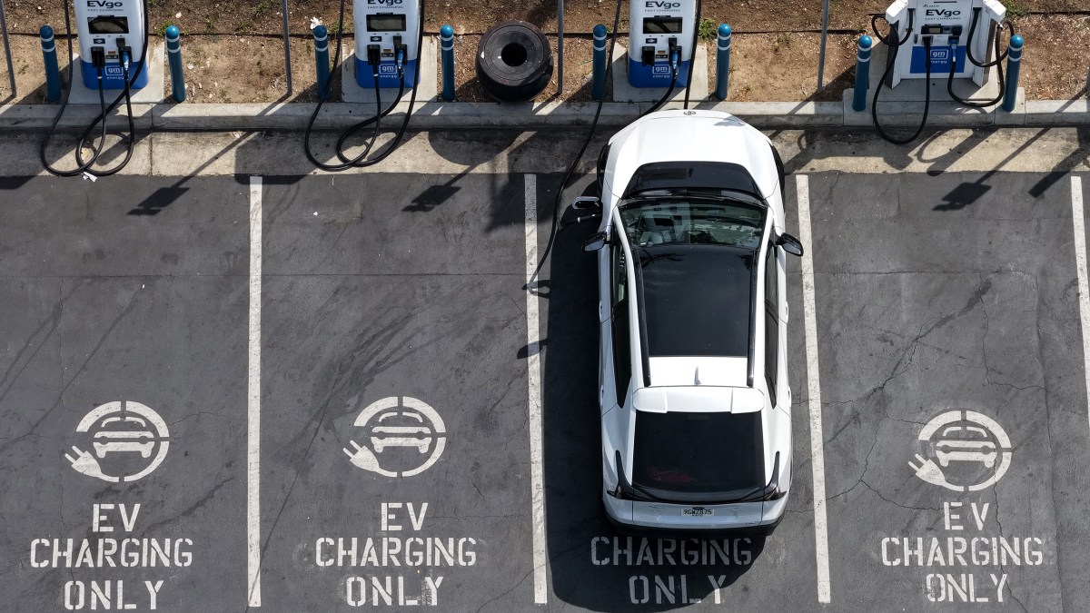 Worldwide Electric Vehicle Sales Keep Rising Even Without Backing from the U.S.