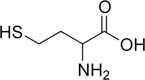 Homocysteine