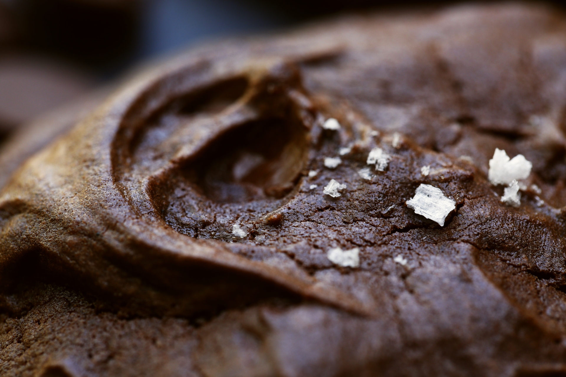 Triple choc cookies (desperate times call for desperate measures)